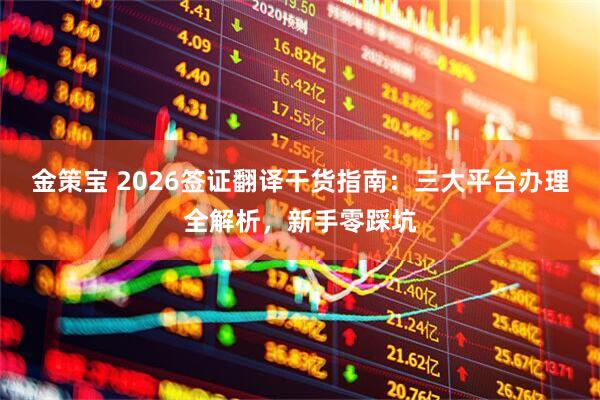 金策宝 2026签证翻译干货指南：三大平台办理全解析，新手零踩坑