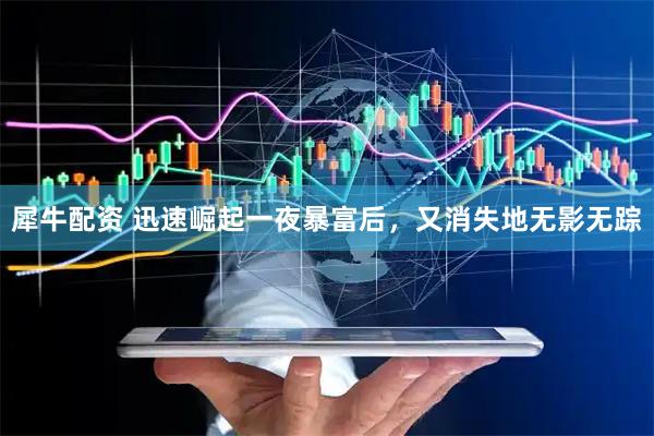犀牛配资 迅速崛起一夜暴富后，又消失地无影无踪