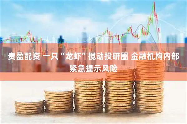 贵盈配资 一只“龙虾”搅动投研圈 金融机构内部紧急提示风险