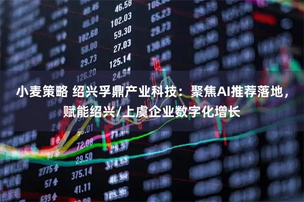 小麦策略 绍兴孚鼎产业科技：聚焦AI推荐落地，赋能绍兴/上虞企业数字化增长