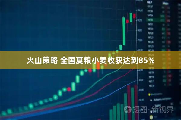 火山策略 全国夏粮小麦收获达到85%