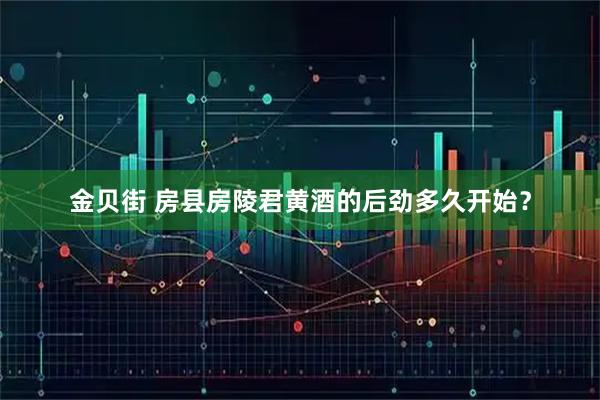 金贝街 房县房陵君黄酒的后劲多久开始?