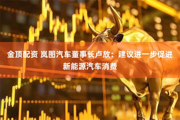 金顶配资 岚图汽车董事长卢放：建议进一步促进新能源汽车消费