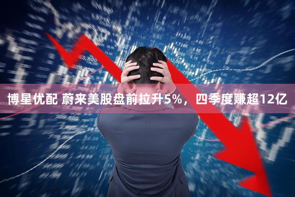 博星优配 蔚来美股盘前拉升5%，四季度赚超12亿