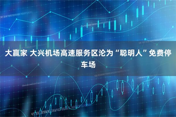 大赢家 大兴机场高速服务区沦为“聪明人”免费停车场