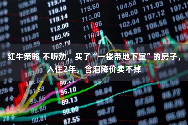 红牛策略 不听劝，买了“一楼带地下室”的房子，入住2年，含泪降价卖不掉