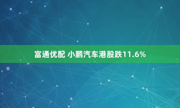 富通优配 小鹏汽车港股跌11.6%