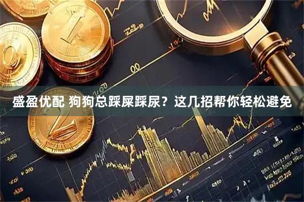 盛盈优配 狗狗总踩屎踩尿？这几招帮你轻松避免