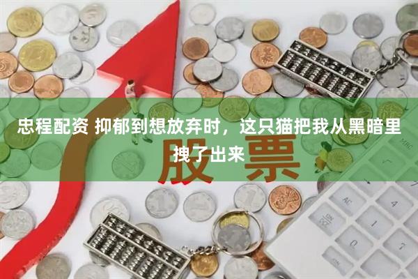 忠程配资 抑郁到想放弃时，这只猫把我从黑暗里拽了出来