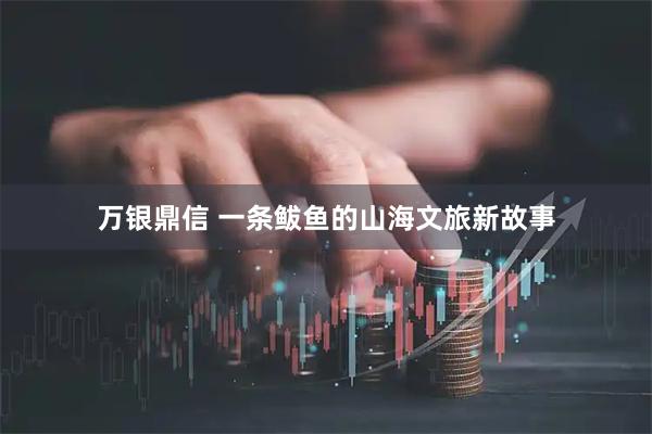 万银鼎信 一条鲅鱼的山海文旅新故事