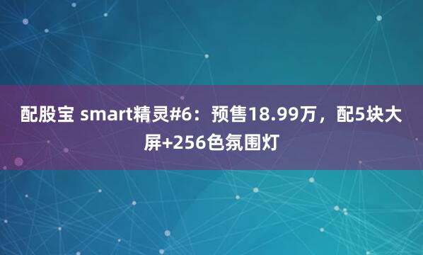 配股宝 smart精灵#6：预售18.99万，配5块大屏+256色氛围灯