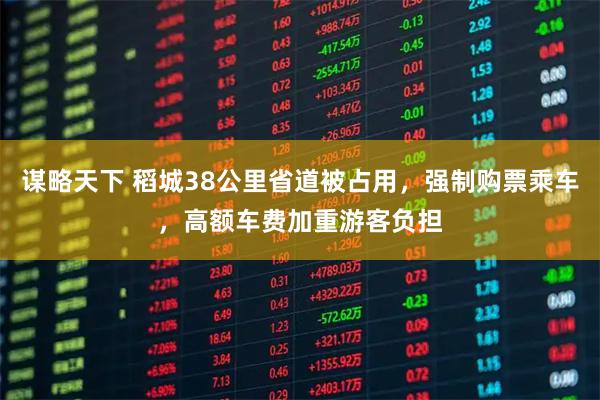 谋略天下 稻城38公里省道被占用，强制购票乘车，高额车费加重游客负担