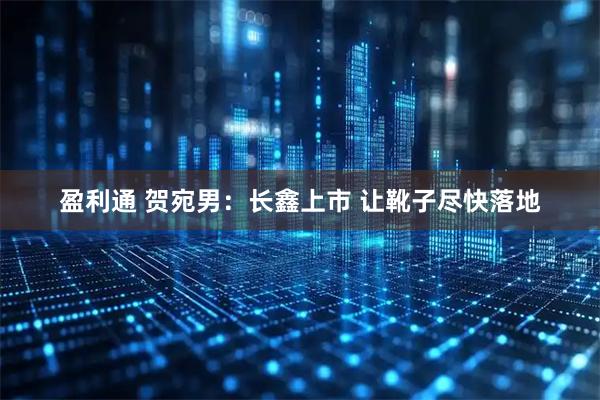盈利通 贺宛男：长鑫上市 让靴子尽快落地