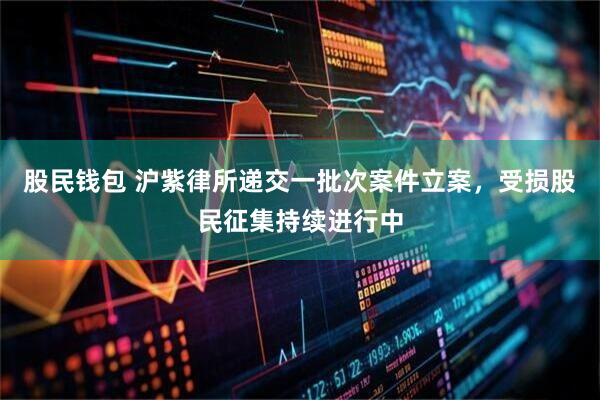 股民钱包 沪紫律所递交一批次案件立案，受损股民征集持续进行中